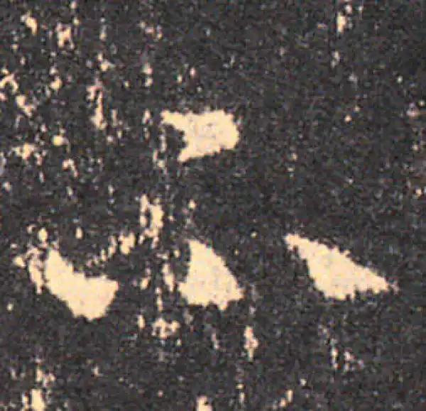 王羲之·草书·不