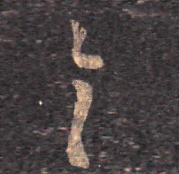 王羲之·草书·具