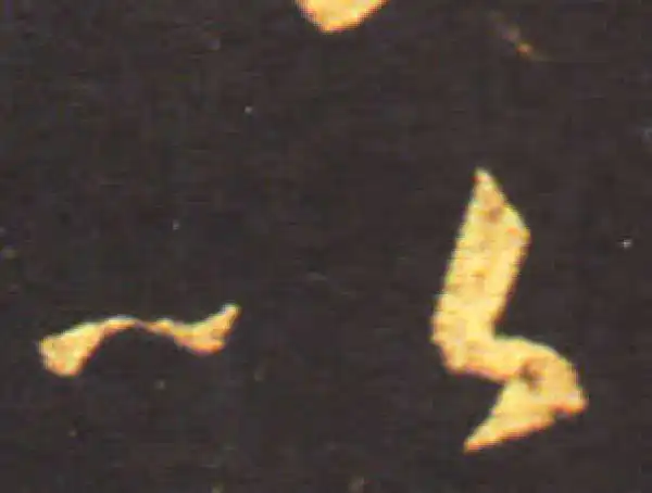 王献之·草书·以