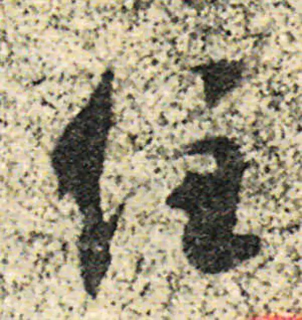 杨凝式·草书·住