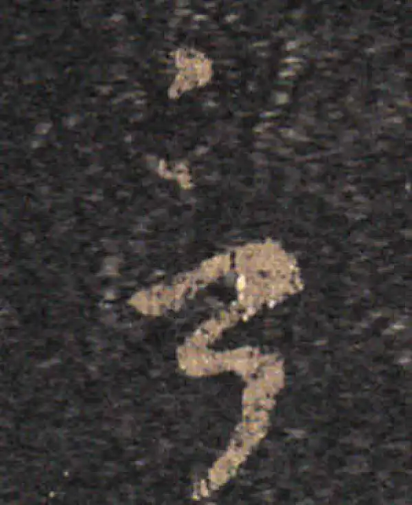 王羲之·草书·言