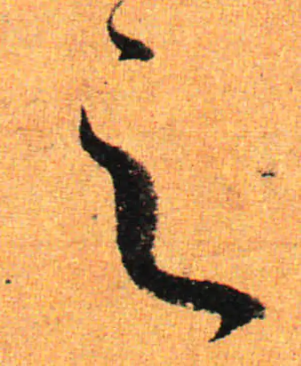 孙过庭·草书·之