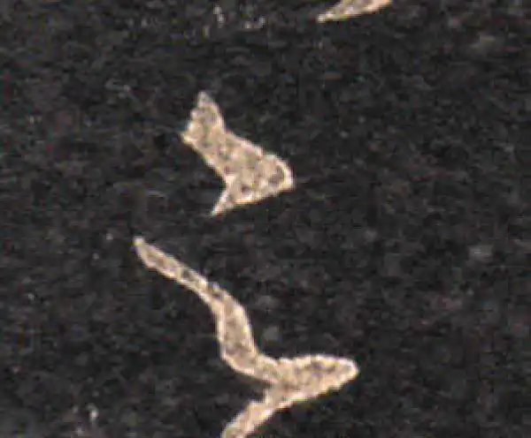 王羲之·草书·足