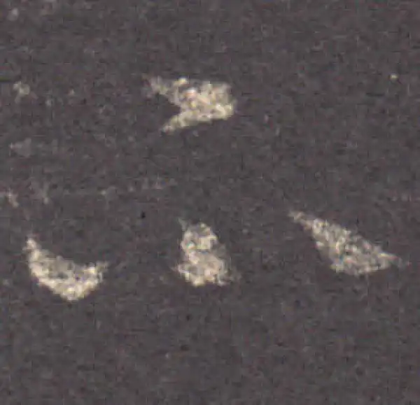 王羲之·草书·不