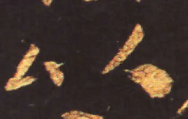 王献之·草书·以