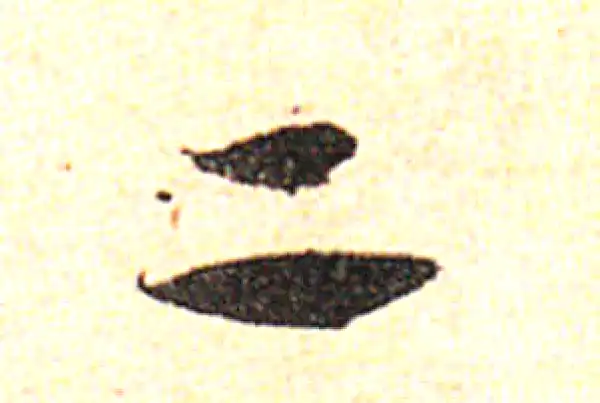 邓文原·草书·二