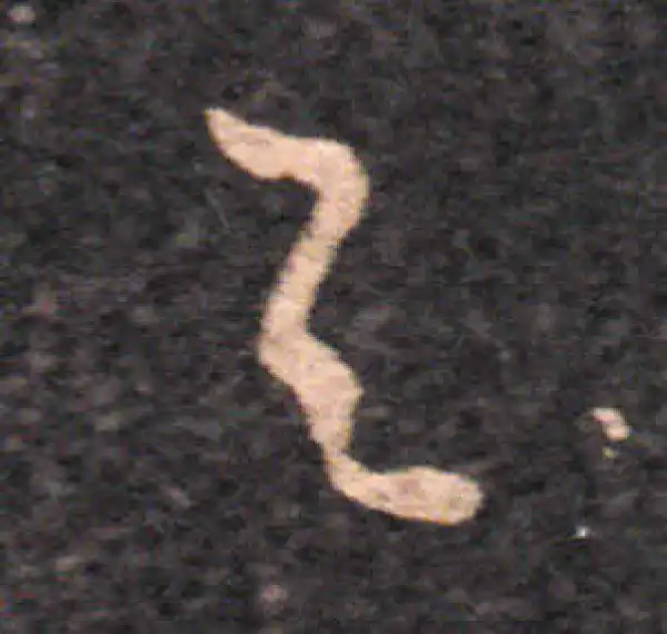 王羲之·草书·與