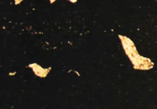 王献之·草书·以