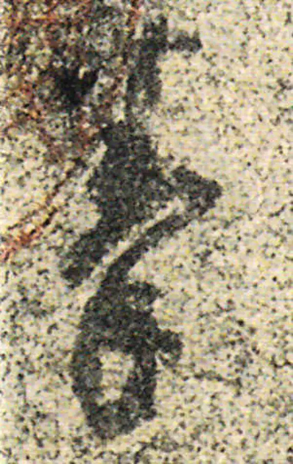 杨凝式·草书·拳