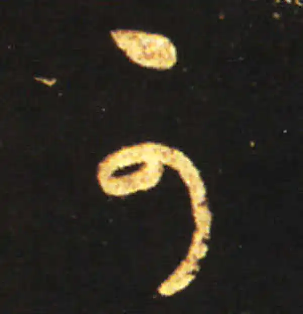 王献之·草书·可