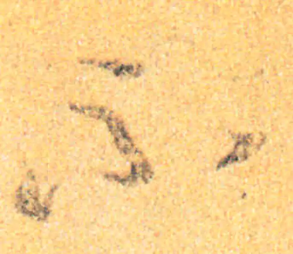 王羲之·草书·書