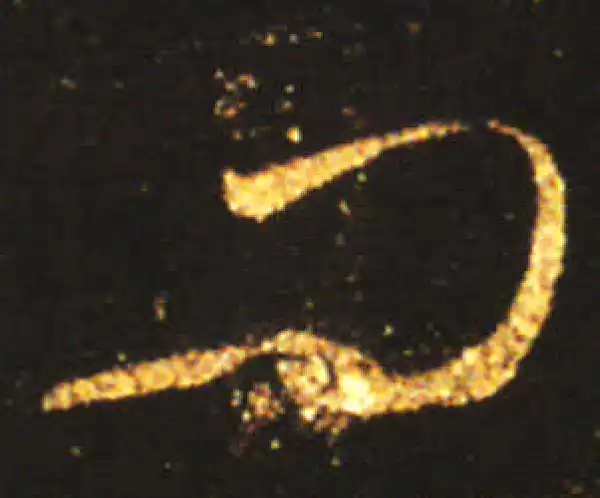 王献之·草书·問