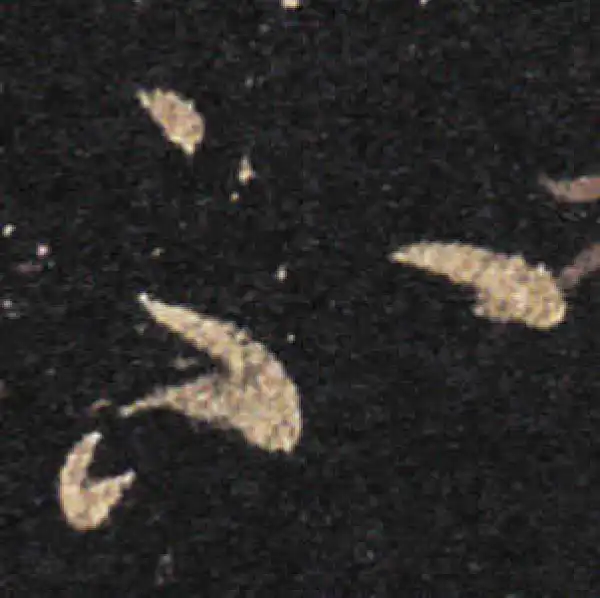 王羲之·草书·不