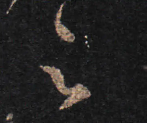 王羲之·草书·足