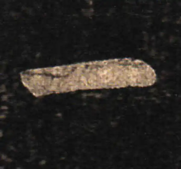 王羲之·草书·一