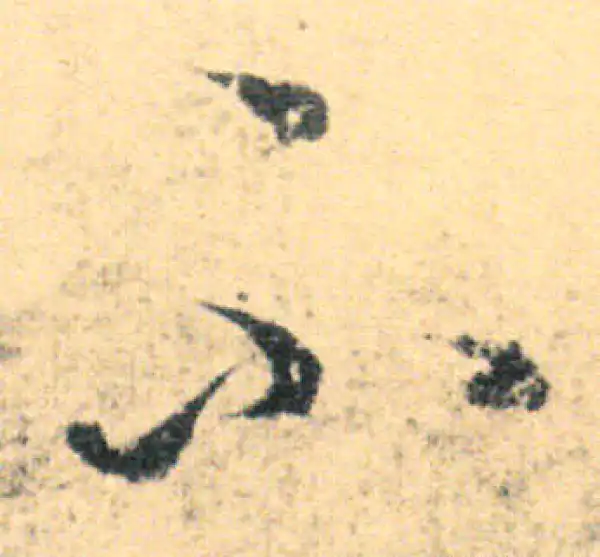 王羲之·草书·不