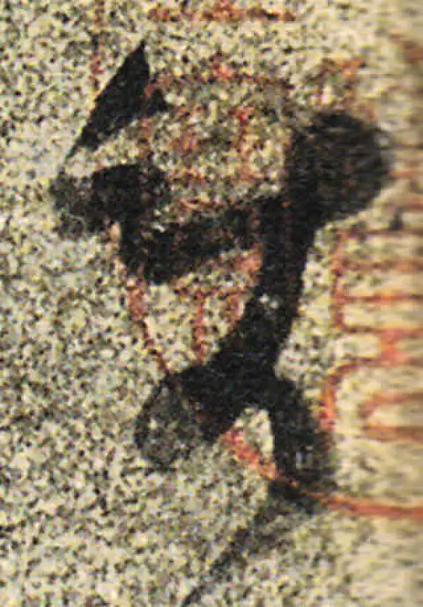 杨凝式·草书·使