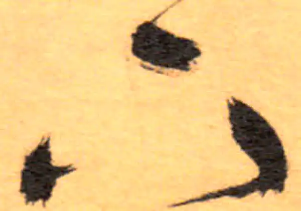 祝允明·草书·下