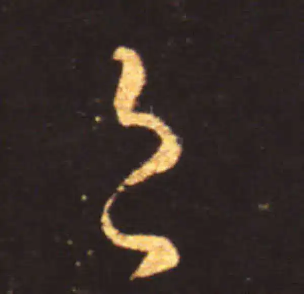 王献之·草书·邑