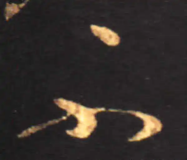 王献之·草书·不