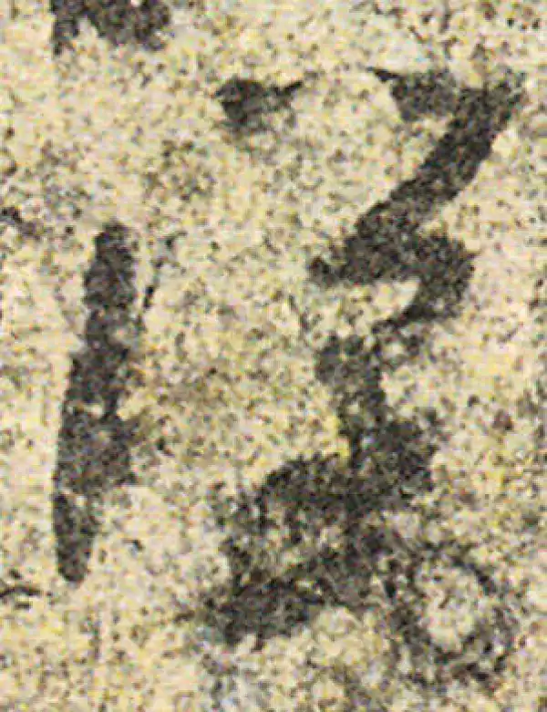 杨凝式·草书·腊