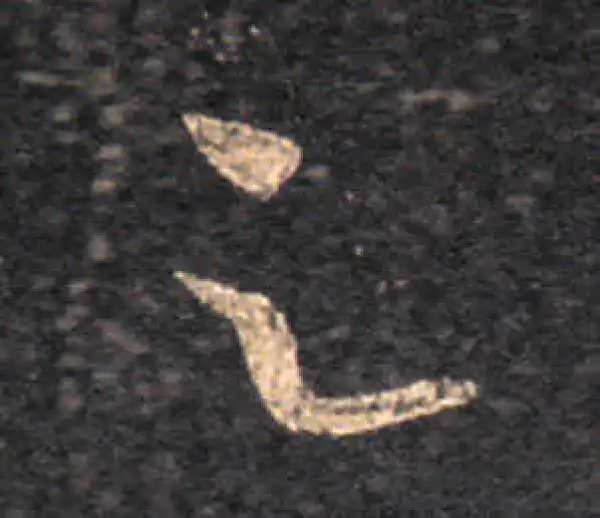 王羲之·草书·足