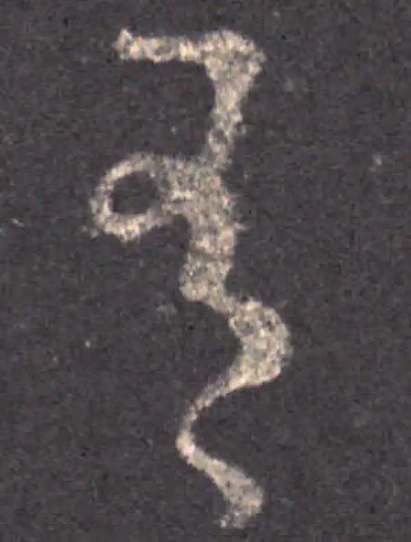 王羲之·草书·有