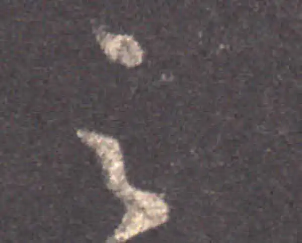 王羲之·草书·足