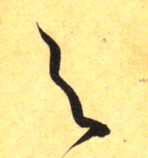 孙过庭·草书·与