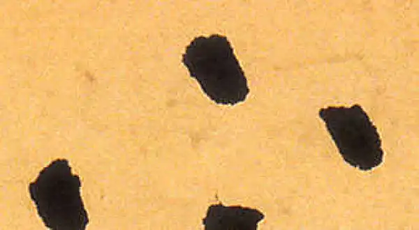 祝允明·草书·下