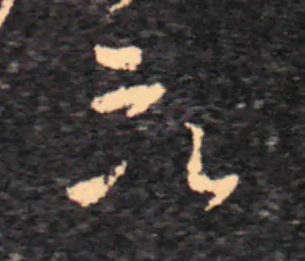 王羲之·草书·欲