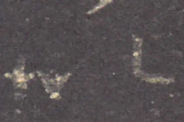 王羲之·草书·以