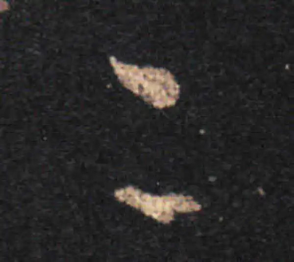 王羲之·草书·二