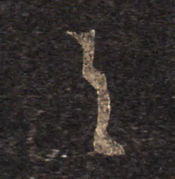 王羲之·草书·与