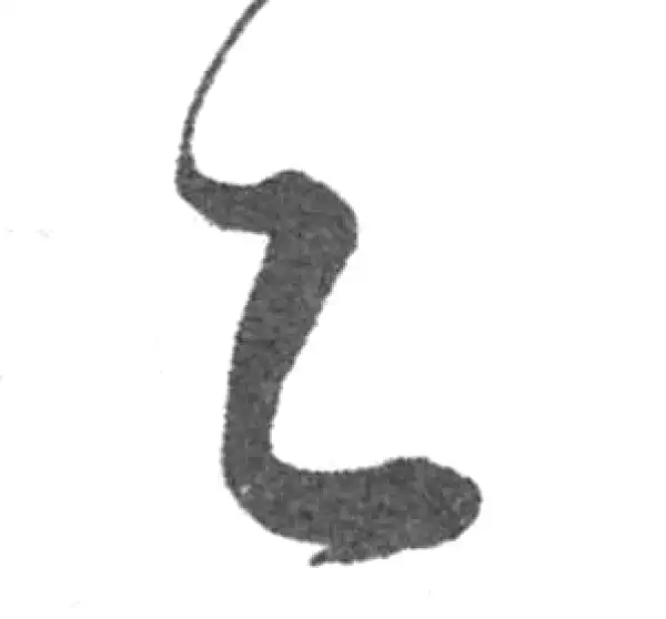 韩道亨·草书·乙