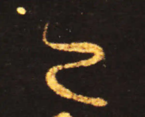 王献之·草书·己