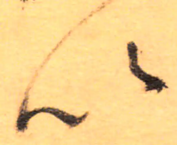 祝允明·草书·以