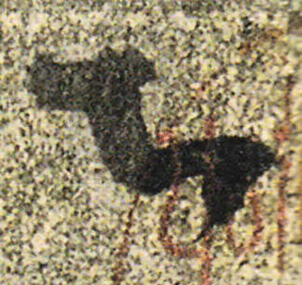 杨凝式·草书·即