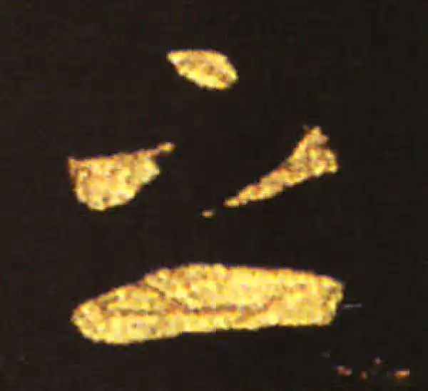 王献之·草书·之