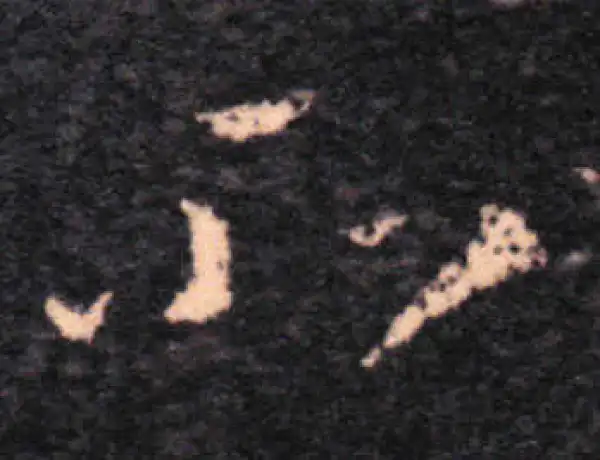 王羲之·草书·所