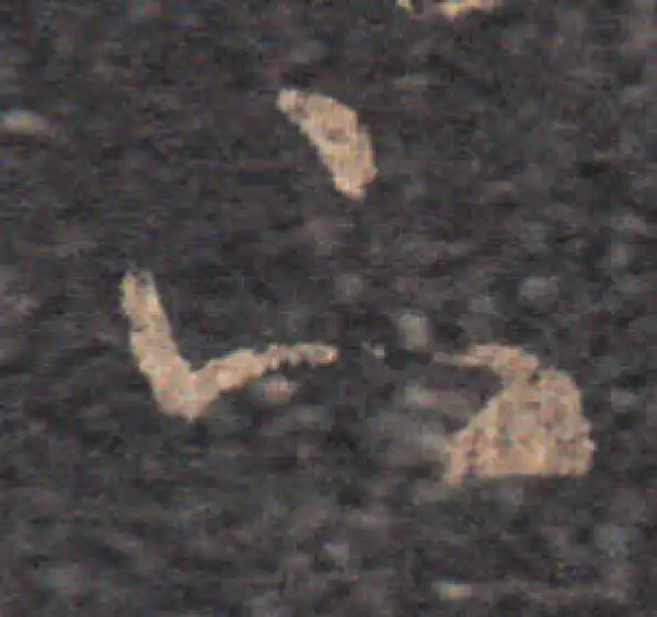 王羲之·草书·下