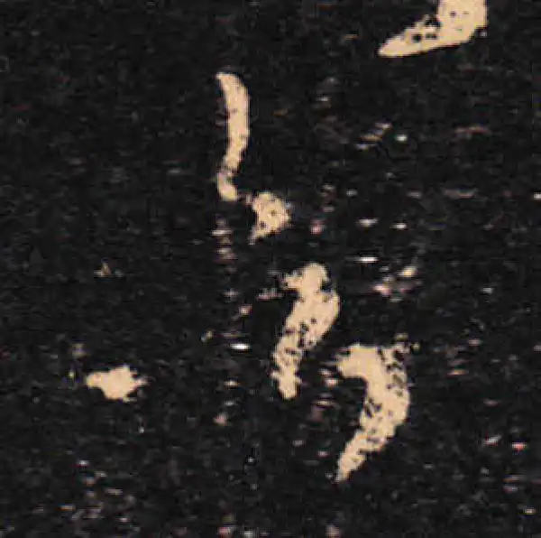 王羲之·草书·欲