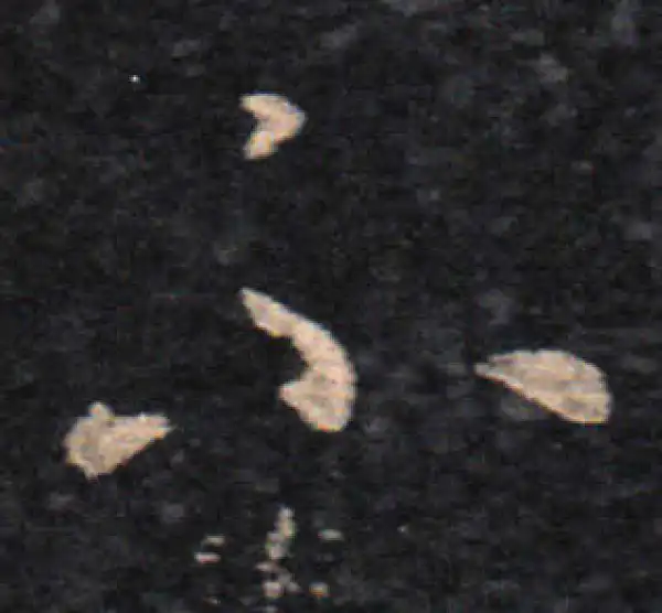 王羲之·草书·不