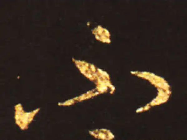 王献之·草书·不