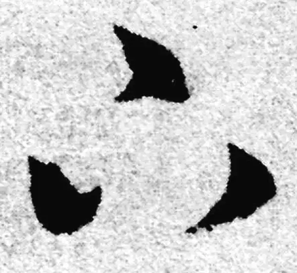 赵孟頫·草书·下