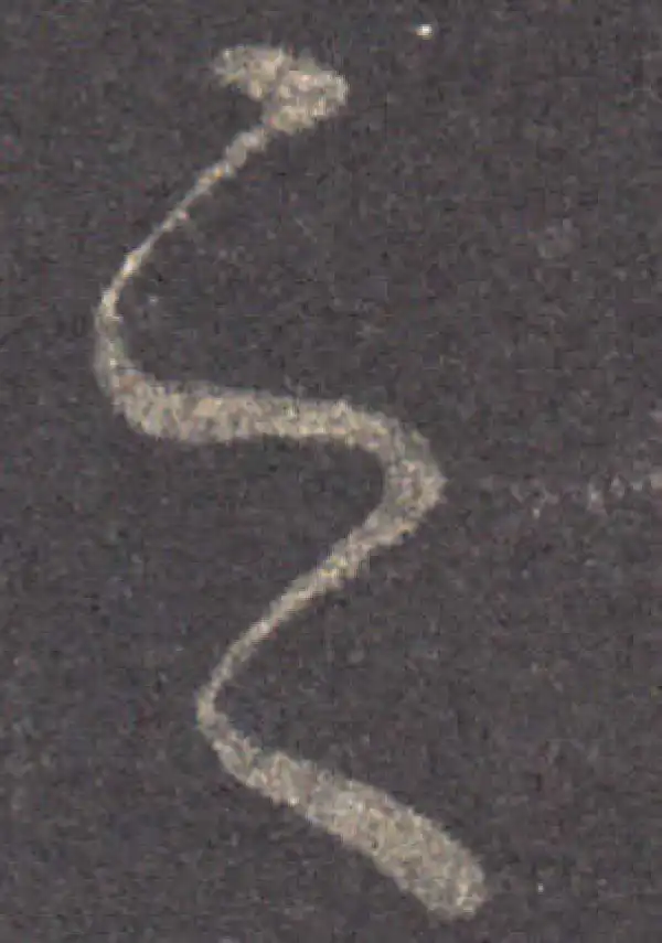 王羲之·草书·之