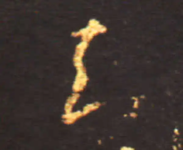 王献之·草书·知