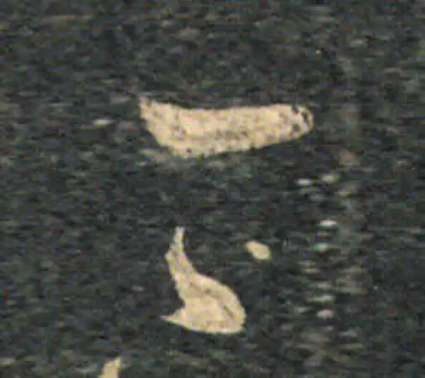 王羲之·草书·今