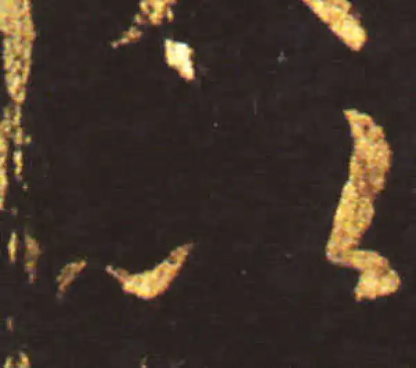 王献之·草书·以