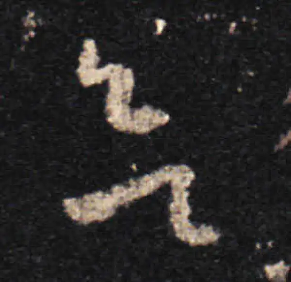 王羲之·草书·欲